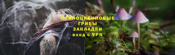 ALPHA-PVP Каменка